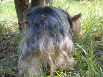 f0130894_22421173.jpg