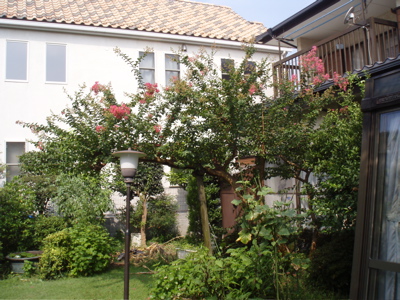 f0130894_22492846.jpg