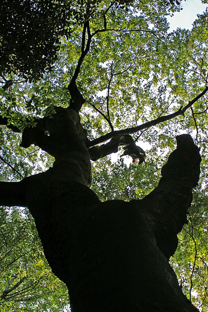 d0069495_23101572.jpg