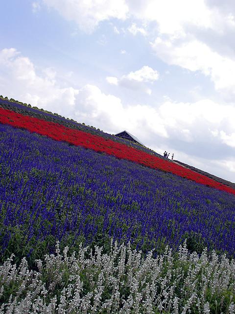 b0104198_13532838.jpg