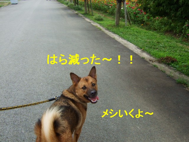 b0087400_2201166.jpg