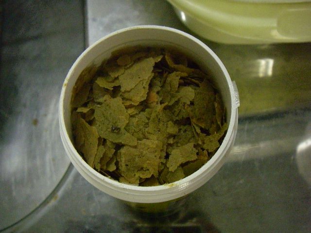 e0010301_1585794.jpg