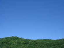 a0053203_9412683.jpg