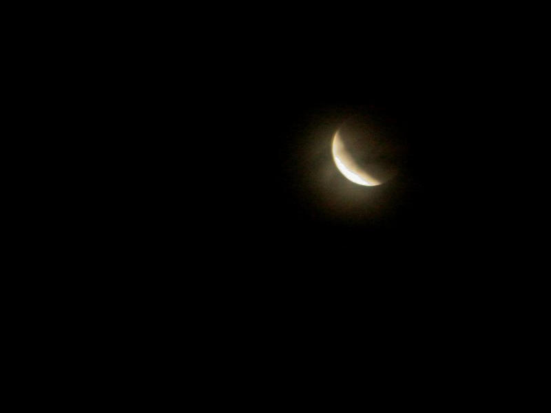 c0043403_23375631.jpg