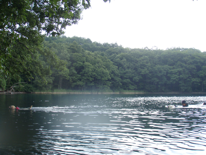 c0089005_23334118.jpg