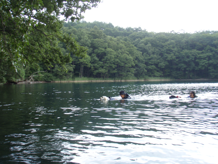 c0089005_2334623.jpg