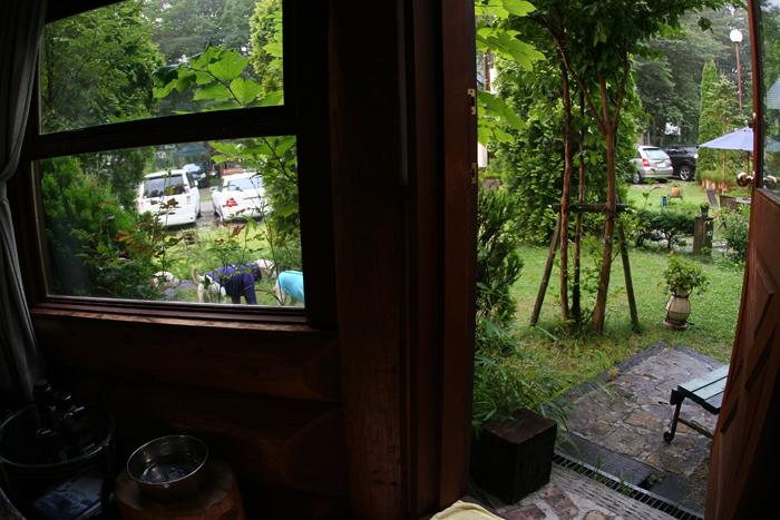c0089005_7153461.jpg