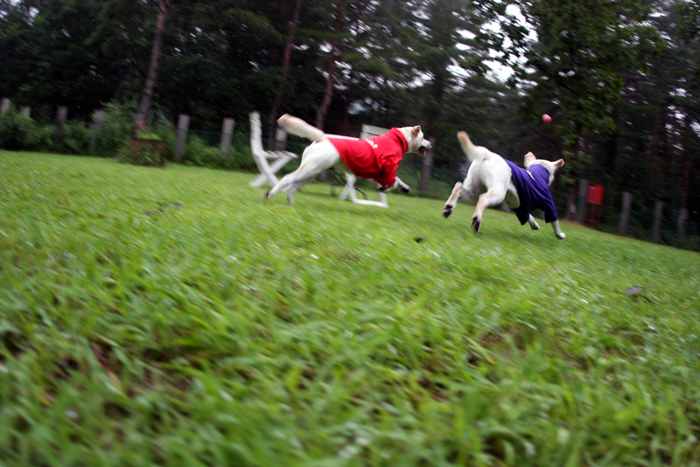 c0089005_816428.jpg