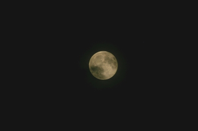 a0078106_22373714.jpg