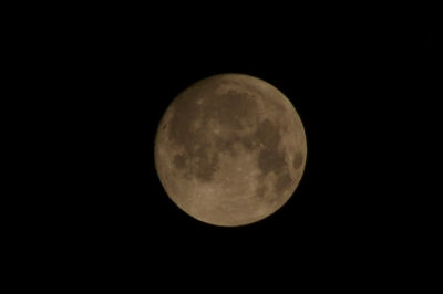 a0078106_22382130.jpg