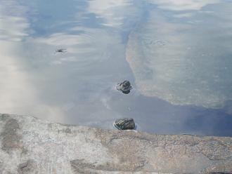 e0077910_7473363.jpg