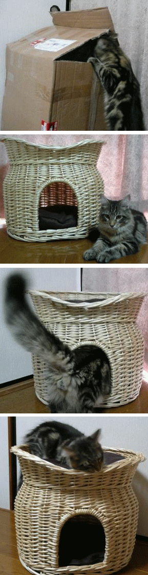 c0027311_183462.gif