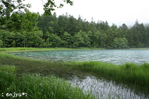 c0123612_1111345.jpg