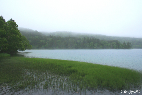 c0123612_1124433.jpg