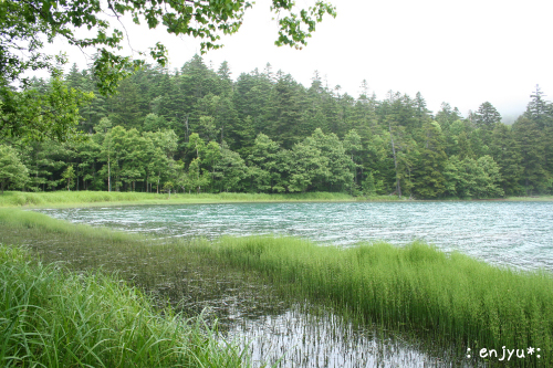 c0123612_1134646.jpg