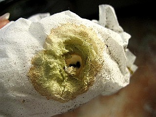 a0027014_8334789.jpg