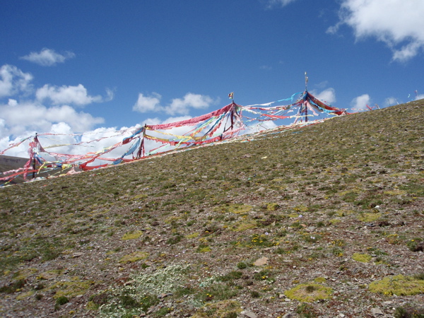 f0115214_15525581.jpg