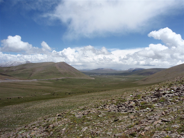 f0115214_15575615.jpg