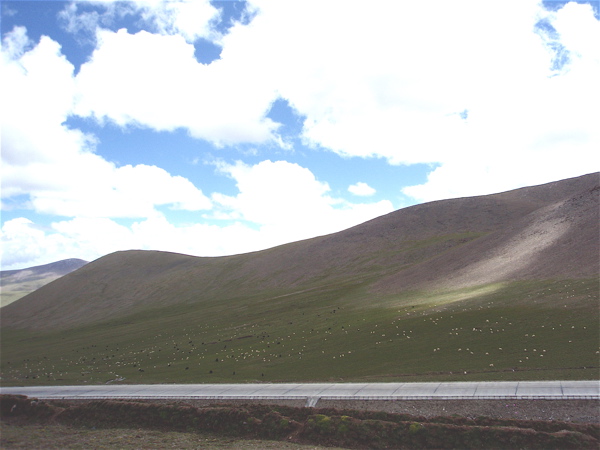 f0115214_15585515.jpg