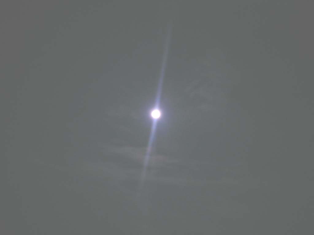 e0066115_225427.jpg