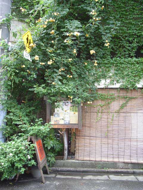 e0049318_15464628.jpg