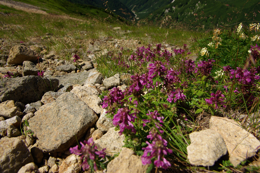 b0062024_4424194.jpg