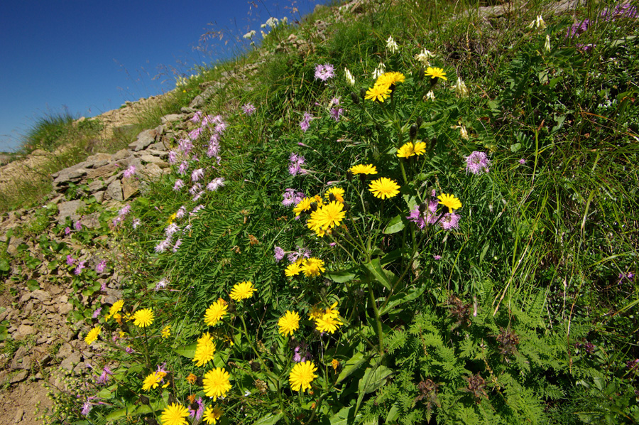 b0062024_442867.jpg