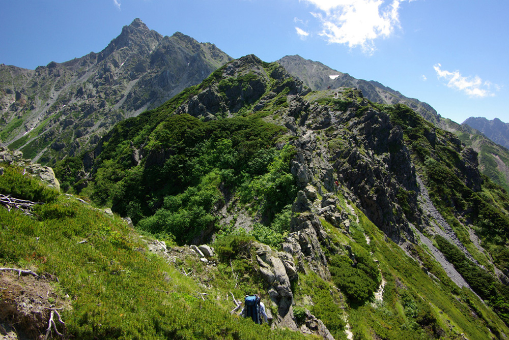 b0062024_4541822.jpg