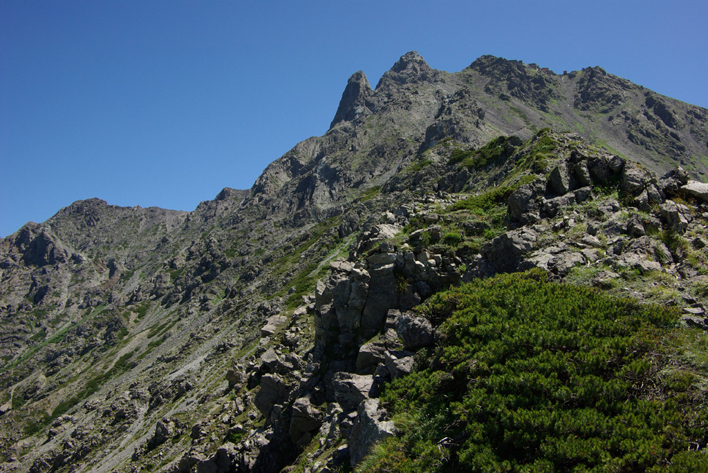 b0062024_53459.jpg