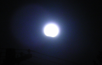 c0013324_2117208.jpg