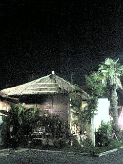 f0043627_10132512.jpg