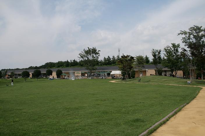 c0035931_0132929.jpg
