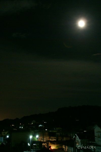 f0146531_2352268.jpg