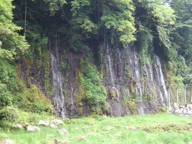 e0064133_0594615.jpg