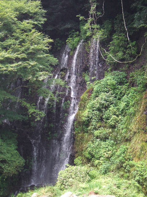 e0064133_105918.jpg