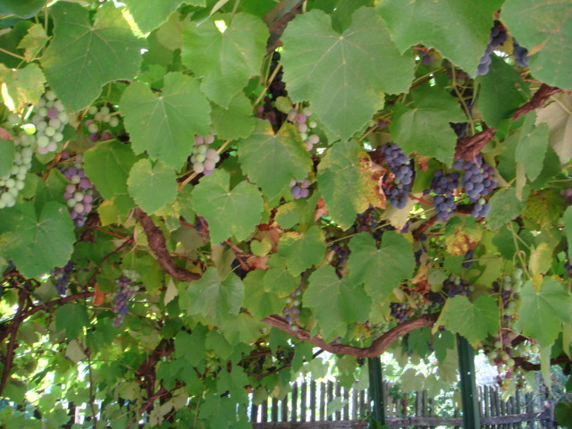 c0131234_0514382.jpg
