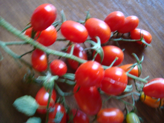 c0131234_0524012.jpg