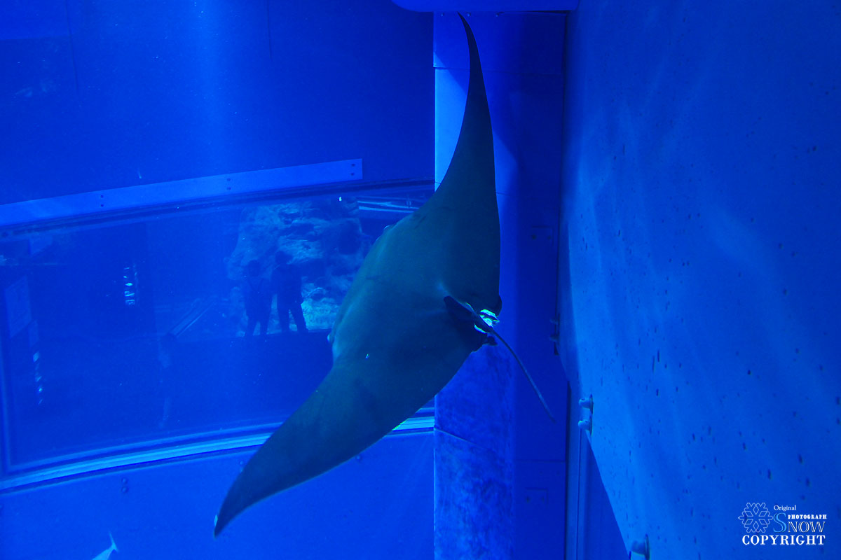 f0005935_2340233.jpg