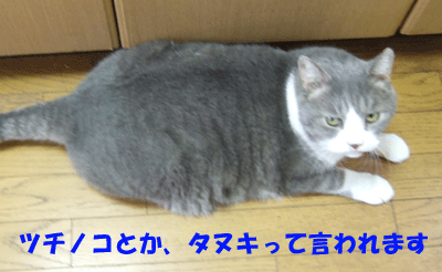 f0008935_13151674.gif