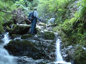 c0077338_023311.jpg