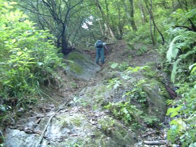 c0077338_024738.jpg