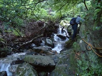 c0077338_02751.jpg