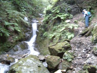 c0077338_032830.jpg
