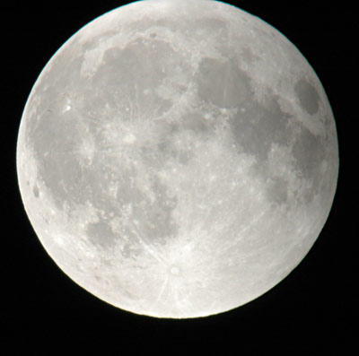 b0031344_2314884.jpg