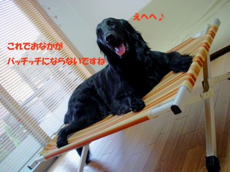 f0018144_2010114.jpg