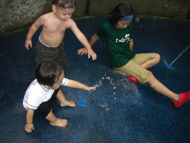 e0015154_1183416.jpg
