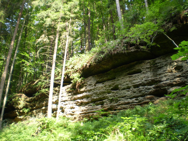 b0111857_151993.jpg