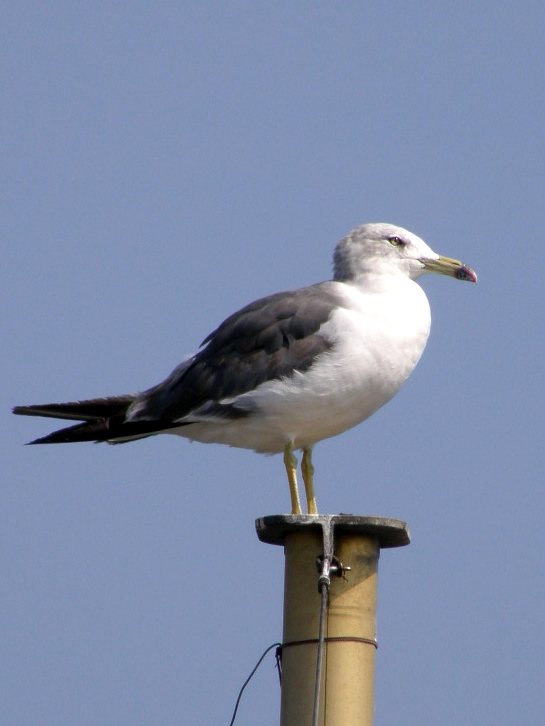 e0064158_183510.jpg