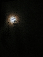 f0043559_21553722.jpg