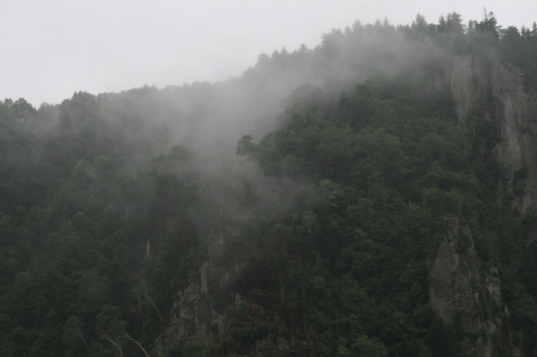 f0077159_0264430.jpg